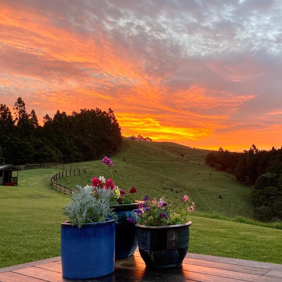 Kauri Glen Bnb Te Arai 외부 사진