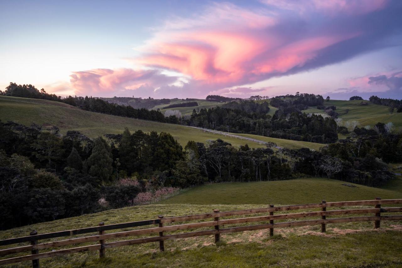 Kauri Glen Bnb Te Arai 외부 사진