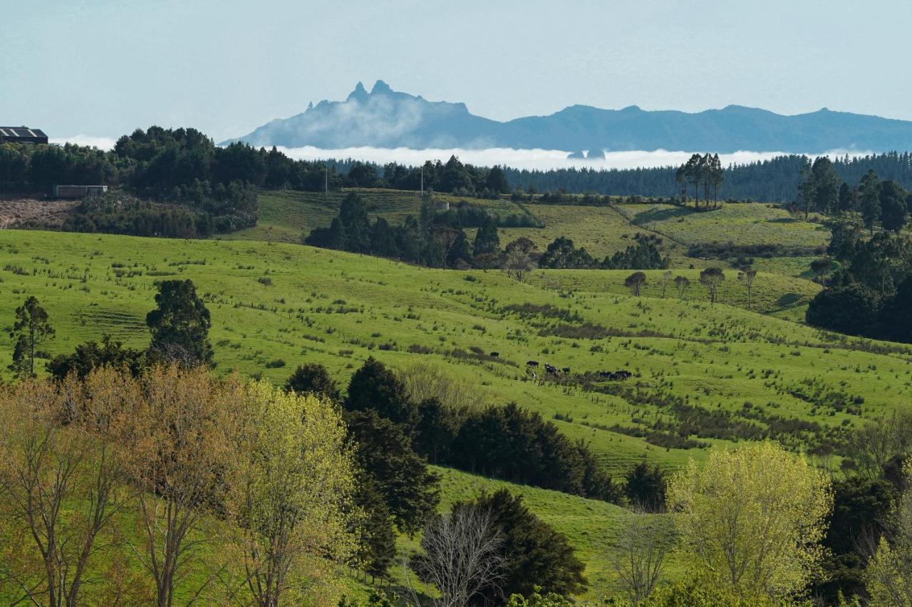 Kauri Glen Bnb Te Arai 외부 사진